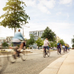 people cycling past trees