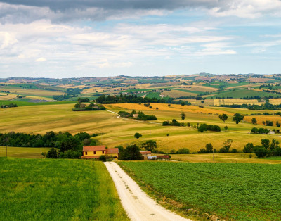 Rural Development Supplement (CSR)