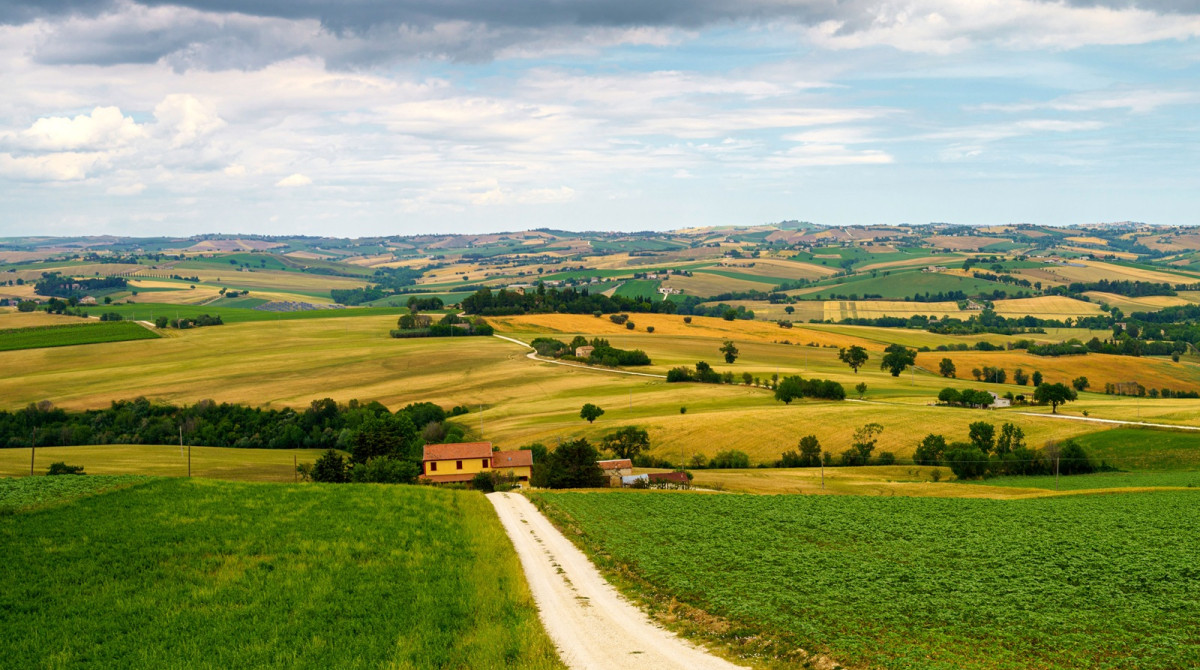 Rural Development Supplement (CSR)